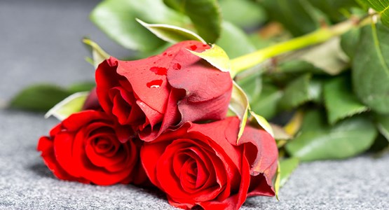 3_rosas_rojas